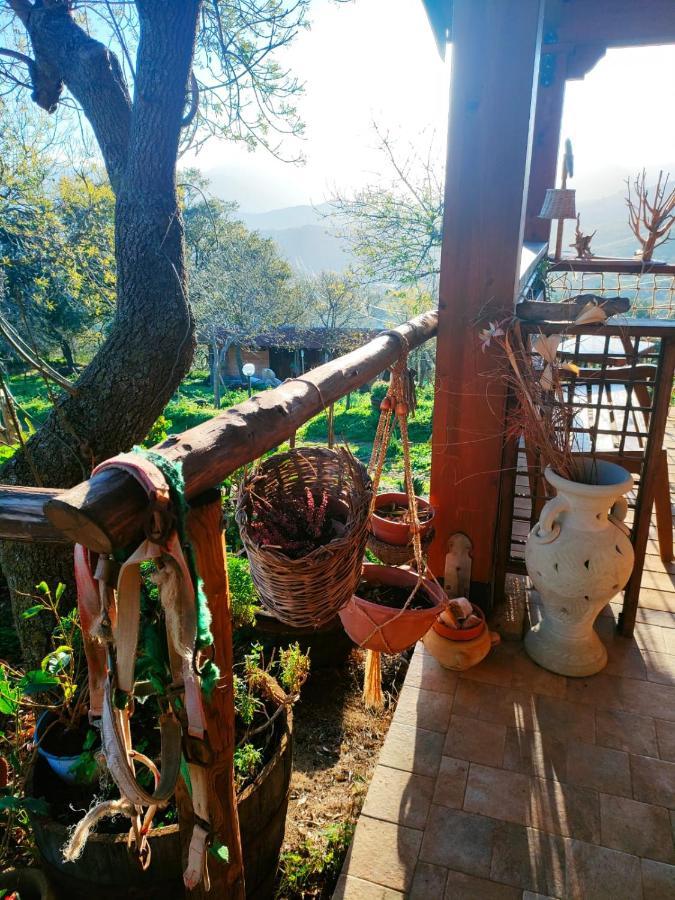 Room In Casa Castiglia A Woodhouse With Beautiful View Close Madonie Park Castelbuono  Bagian luar foto